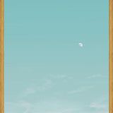 Cuadro El escarabajo y la luna