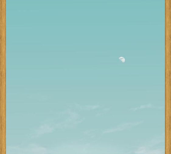 Cuadro El escarabajo y la luna