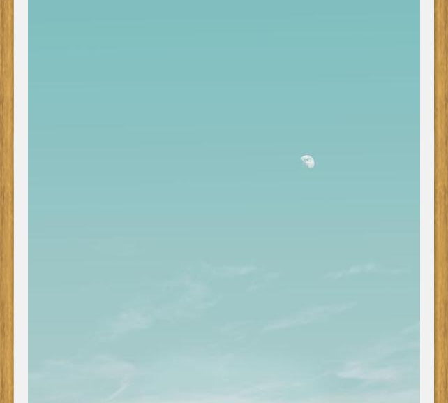 Cuadro El escarabajo y la luna