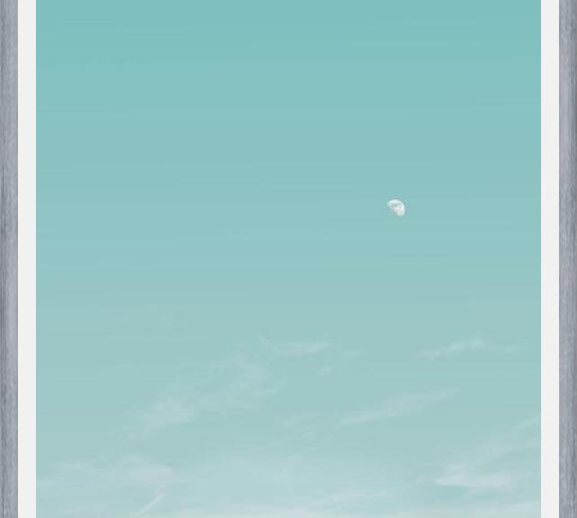 Cuadro El escarabajo y la luna