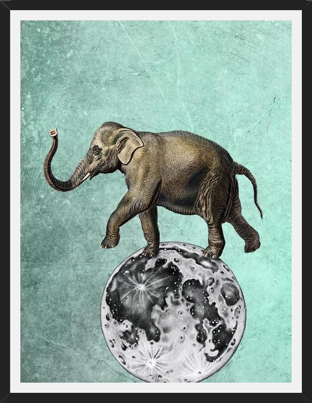 Cuadro Moon Circle