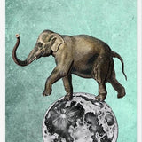 Cuadro Moon Circle