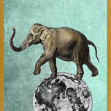 Cuadro Moon Circle