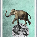 Cuadro Moon Circle
