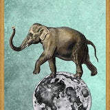 Cuadro Moon Circle