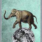 Cuadro Moon Circle