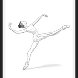 Cuadro Bailarina