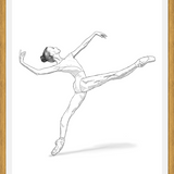 Cuadro Bailarina