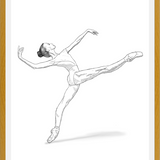 Cuadro Bailarina