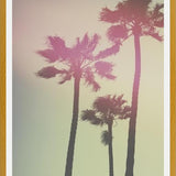 Cuadro Palmeras de california