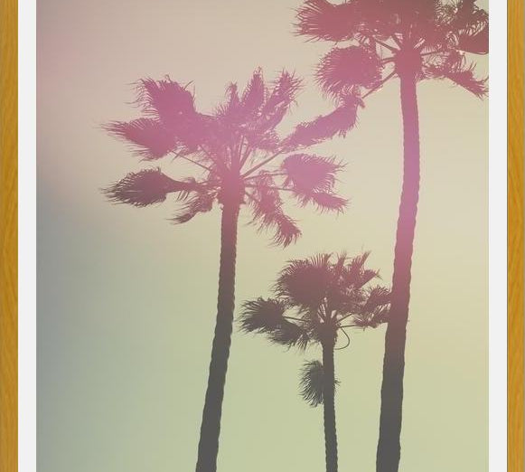 Cuadro Palmeras de california