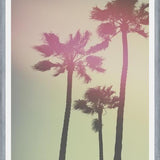 Cuadro Palmeras de california