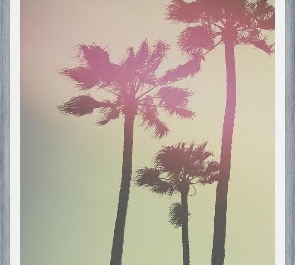 Cuadro Palmeras de california