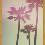 Cuadro Palmeras de california