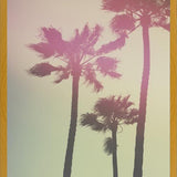 Cuadro Palmeras de california