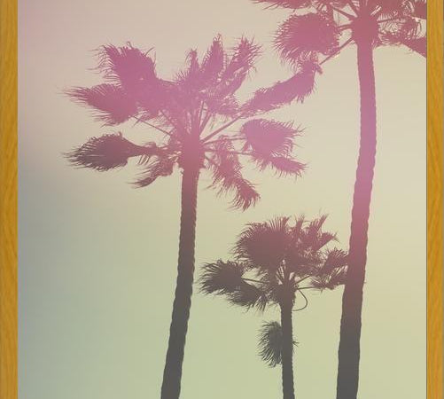 Cuadro Palmeras de california