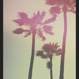 Cuadro Palmeras de california