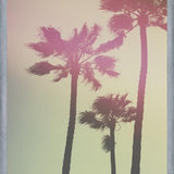 Cuadro Palmeras de california