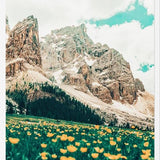 Cuadro Hillside Meadow