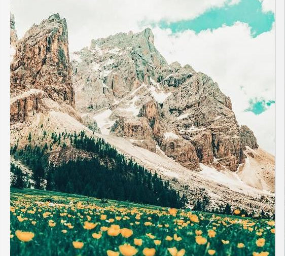 Cuadro Hillside Meadow