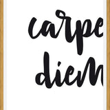 Cuadro Carpe diem quote