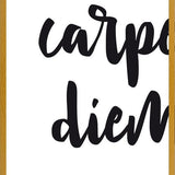 Cuadro Carpe diem quote