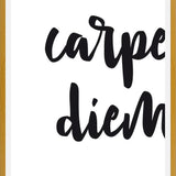 Cuadro Carpe diem quote