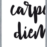 Cuadro Carpe diem quote
