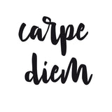 Canvas Carpe diem quote