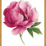Cuadro peonia