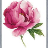 Cuadro peonia