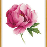 Cuadro peonia