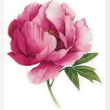 Cuadro peonia