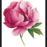 Cuadro peonia