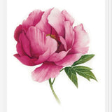 Cuadro peonia