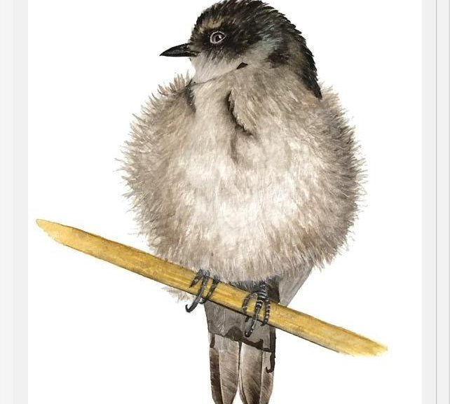 Cuadro Golondrina bebé