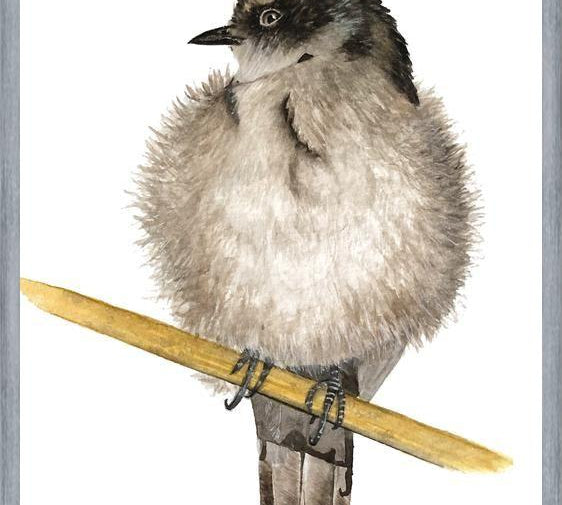 Cuadro Golondrina bebé