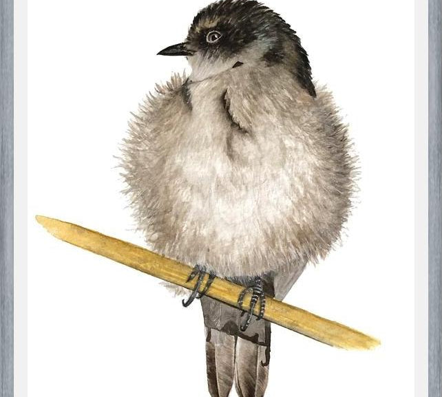 Cuadro Golondrina bebé