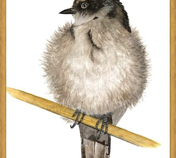 Cuadro Golondrina bebé