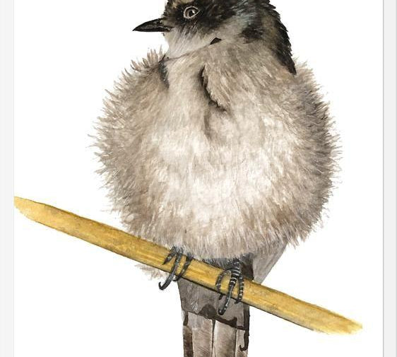 Cuadro Golondrina bebé