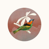 Canvas The Bird And Wall World