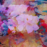 Canvas Spring Equinox 1