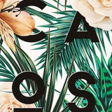 Canvas CAOS
