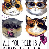 Cuadro gatitos