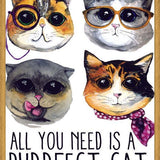 Cuadro gatitos