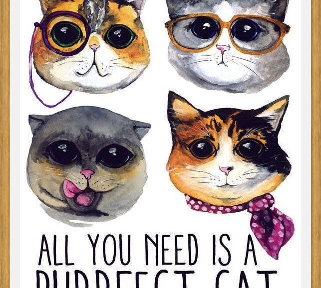 Cuadro gatitos