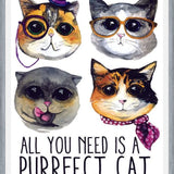 Cuadro gatitos