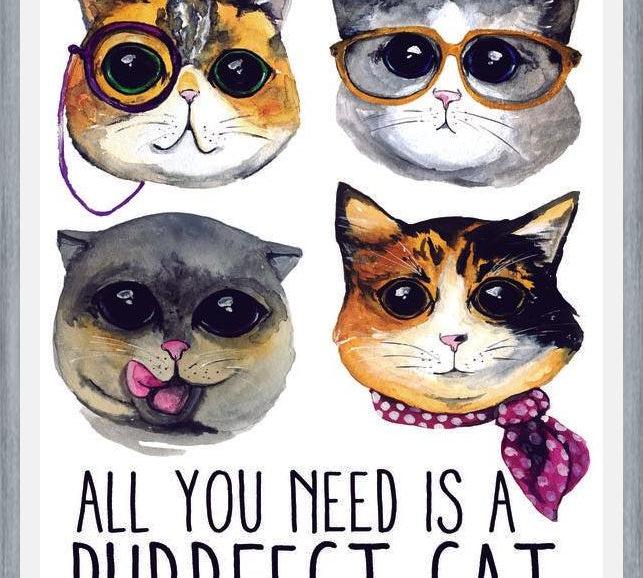 Cuadro gatitos