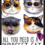 Cuadro gatitos