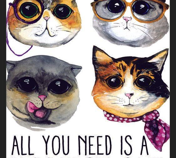 Cuadro gatitos